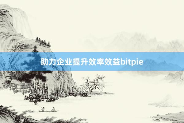 助力企业提升效率效益bitpie