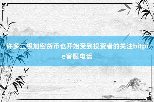 许多二级加密货币也开始受到投资者的关注bitpie客服电话