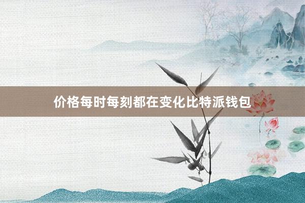 价格每时每刻都在变化比特派钱包