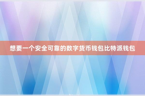 想要一个安全可靠的数字货币钱包比特派钱包