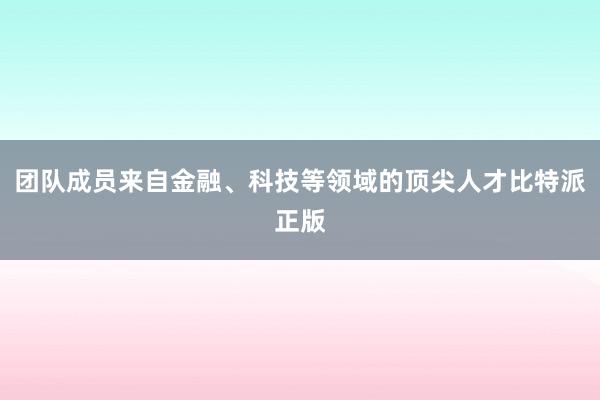 团队成员来自金融、科技等领域的顶尖人才比特派正版