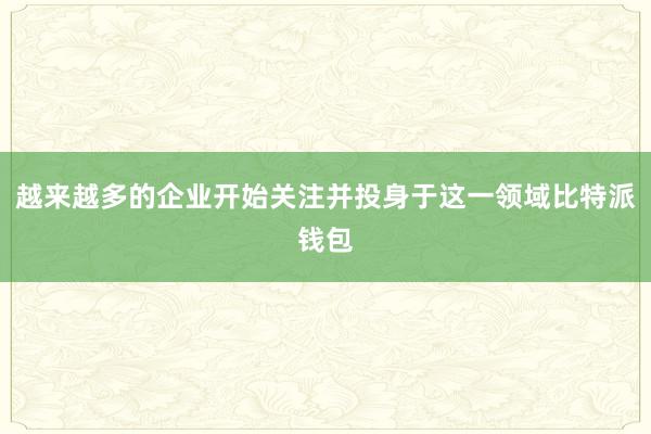 越来越多的企业开始关注并投身于这一领域比特派钱包