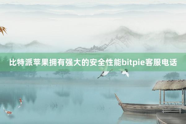 比特派苹果拥有强大的安全性能bitpie客服电话