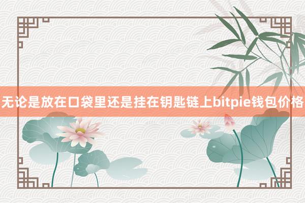 无论是放在口袋里还是挂在钥匙链上bitpie钱包价格