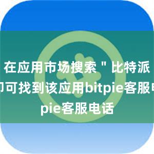 在应用市场搜索＂比特派＂即可找到该应用bitpie客服电话