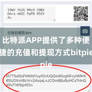 比特派APP提供了多种便捷的充值和提现方式bitpie