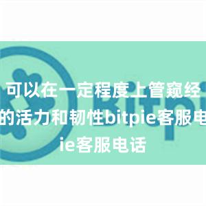 可以在一定程度上管窥经济的活力和韧性bitpie客服电话