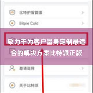 致力于为客户量身定制最适合的解决方案比特派正版